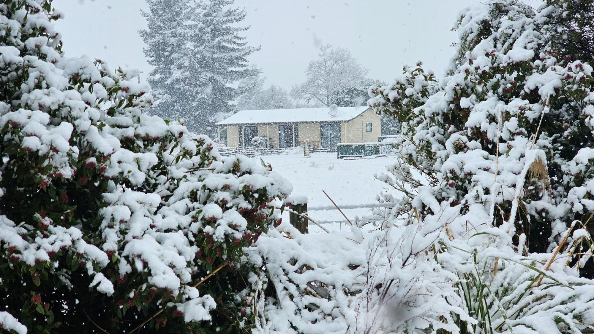 Bahara Accommodation Springfield Exterior photo
